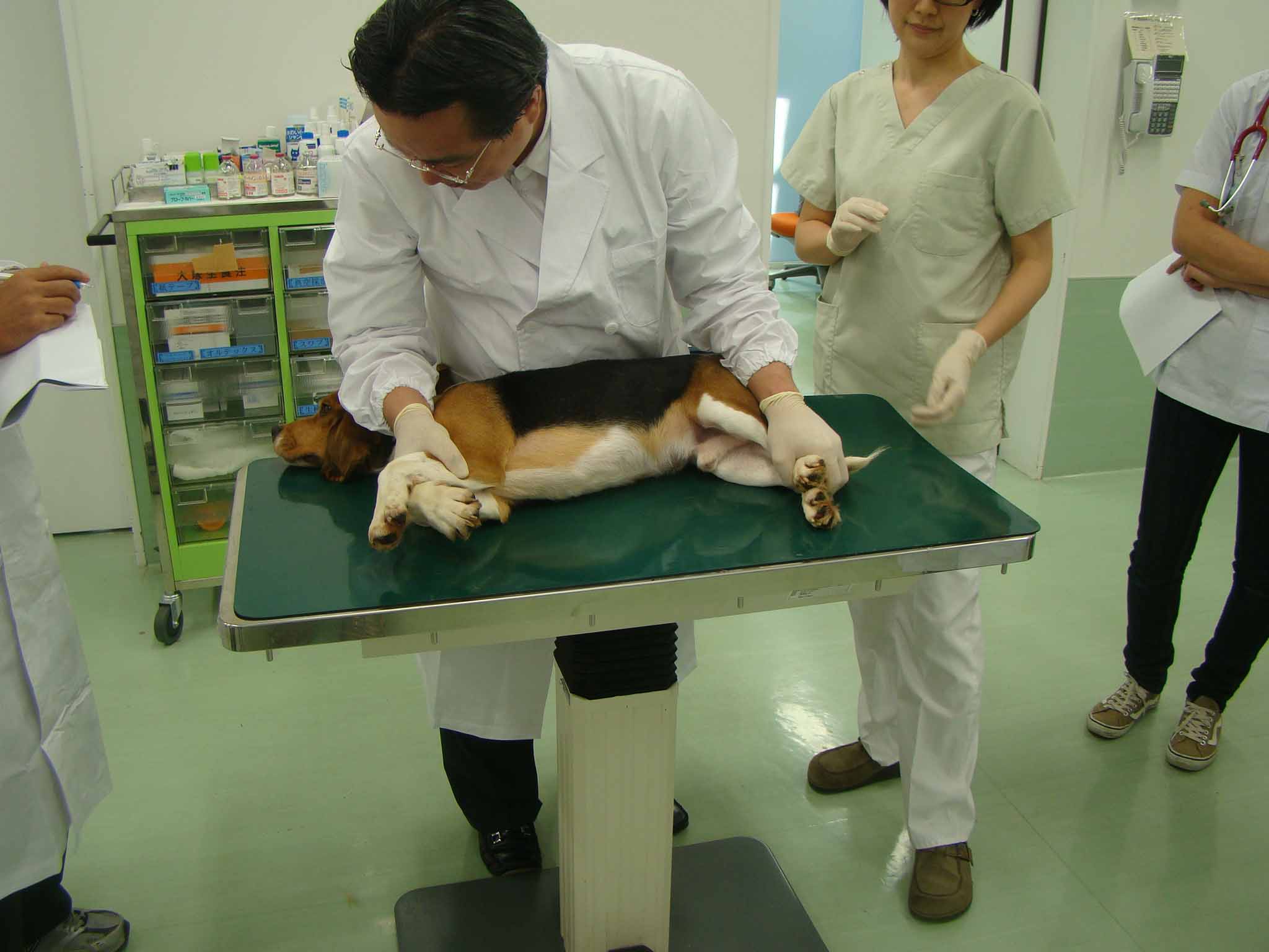 咳をテーマにした臨床シミュレーション実習 学び直し 事務局ブログ 咳をテーマにした臨床シミュレーション実習 学び直し 事務局ブログ